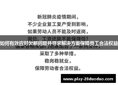 如何有效应对欠薪问题并寻求解决方案保障员工合法权益