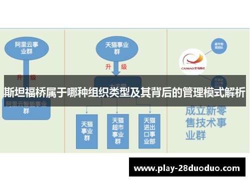 斯坦福桥属于哪种组织类型及其背后的管理模式解析