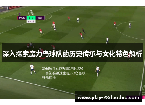 深入探索魔力鸟球队的历史传承与文化特色解析