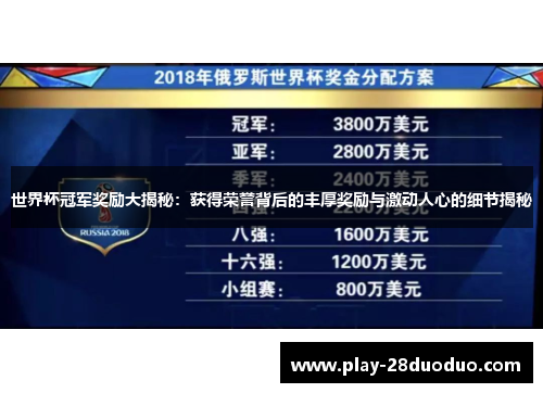 世界杯冠军奖励大揭秘：获得荣誉背后的丰厚奖励与激动人心的细节揭秘