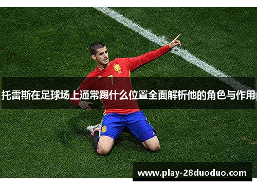 托雷斯在足球场上通常踢什么位置全面解析他的角色与作用