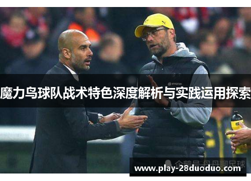 魔力鸟球队战术特色深度解析与实践运用探索