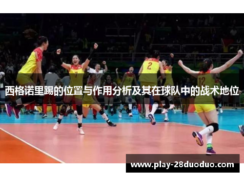 西格诺里踢的位置与作用分析及其在球队中的战术地位